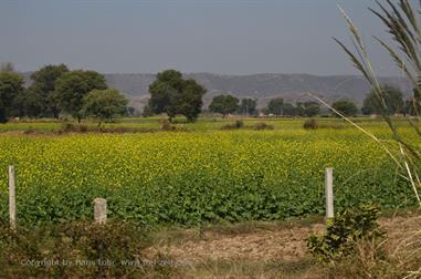 01 PKW-Reise_Jaipur-Fatehpur_Sikri_DSC5397_b_H600